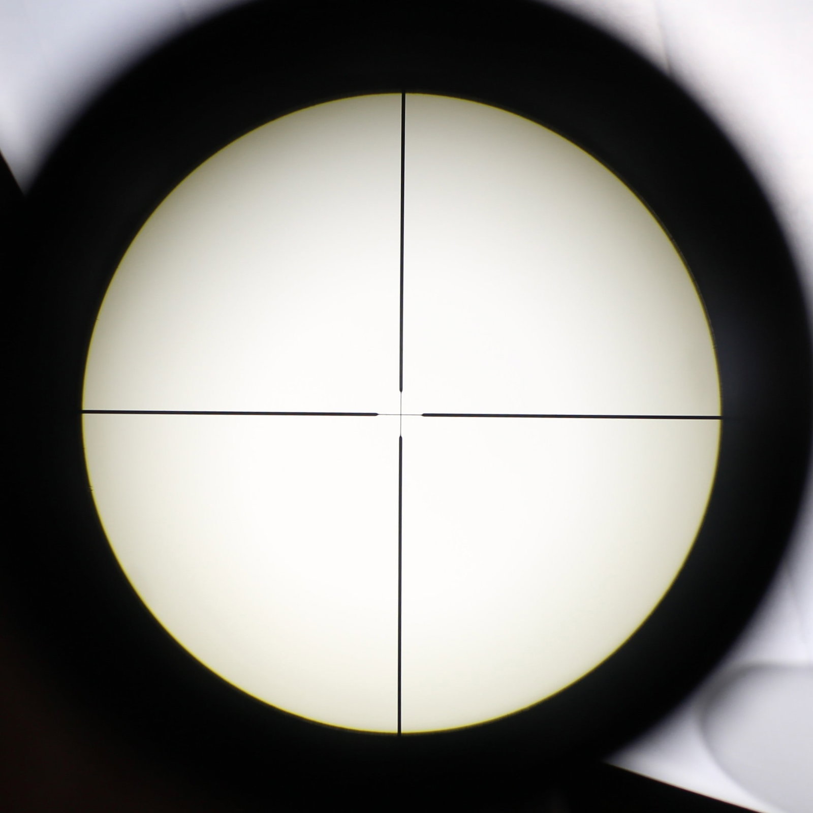 4 Power Weaver Scope with Rings (FMI) - 6