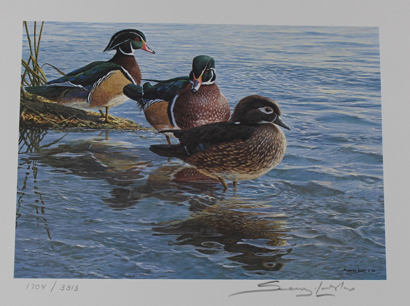 1989 Limited Edition Signed "Duck Stamp" Print National Fish and Wildlife Foundation (MAT) - 2
