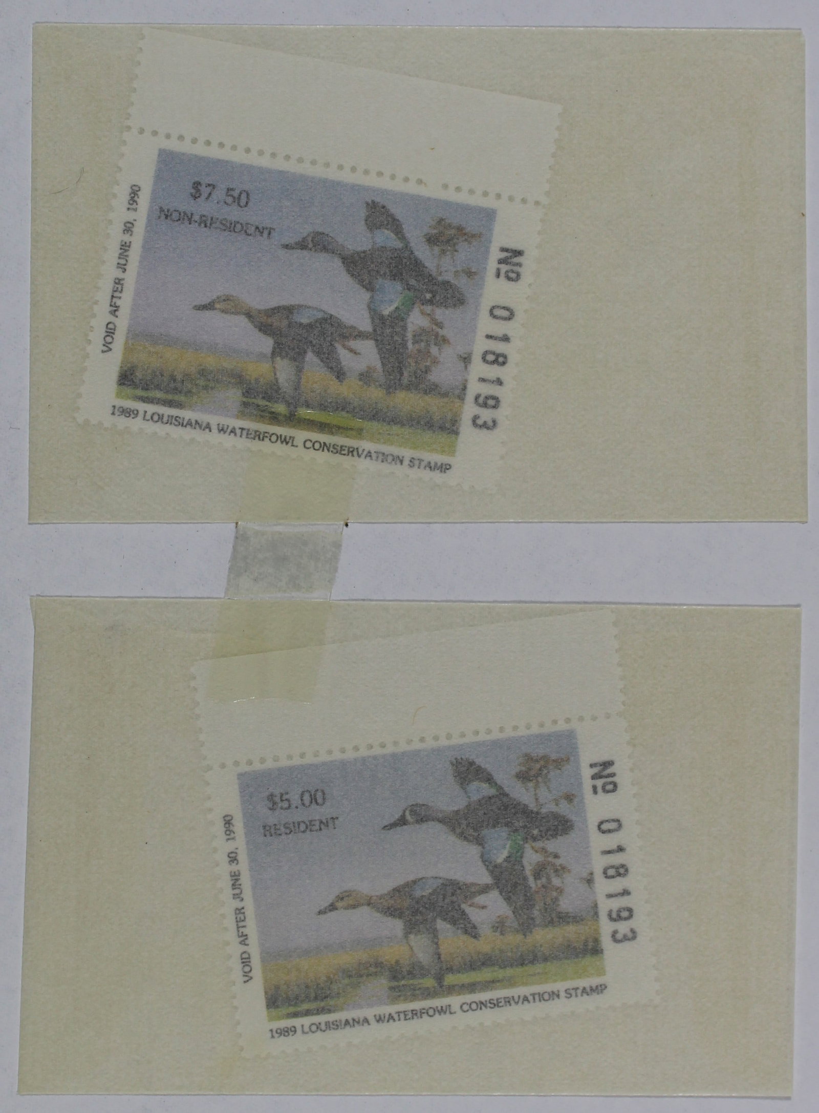 Coming Soon (MAT) - 4