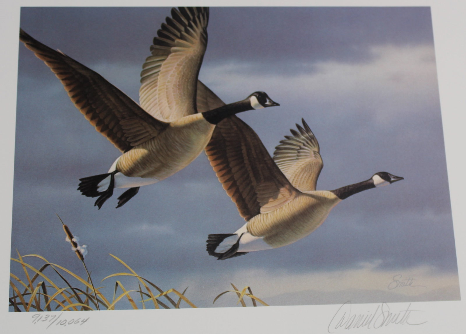 1987 "First in State" Limited Edition Signed West Virginia Duck Stamp Print (MAT) - 3
