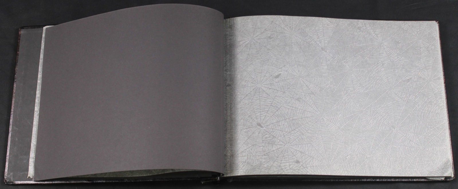 US Paratrooper Leatherbound Recognition Booklet (BJT) - 2