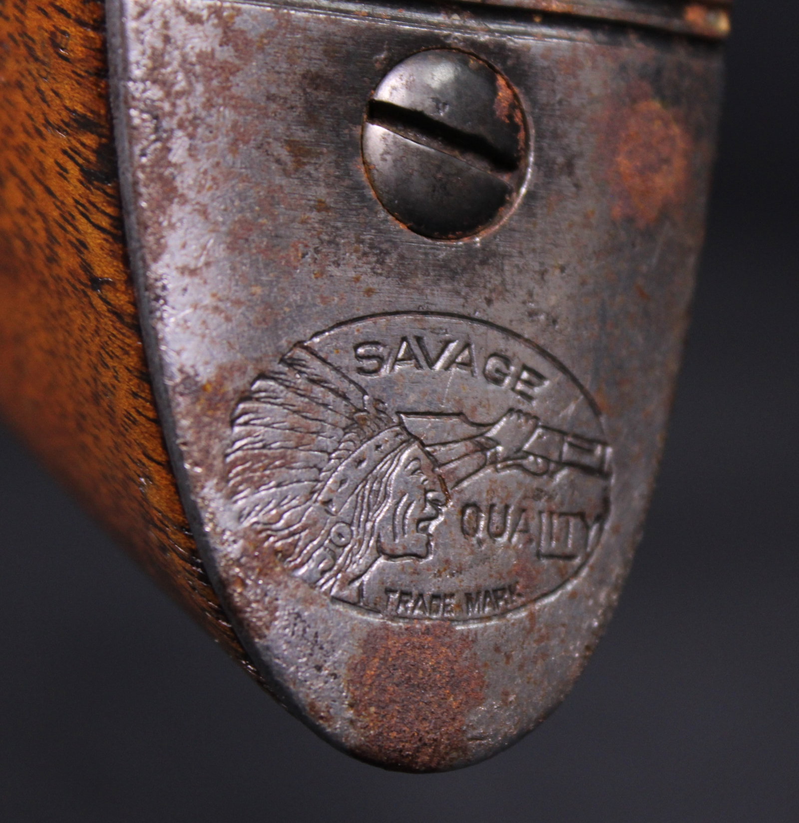 Savage Ams Corps Model 1899 .250-3000 Lever Action Rifle (WDA) - 19