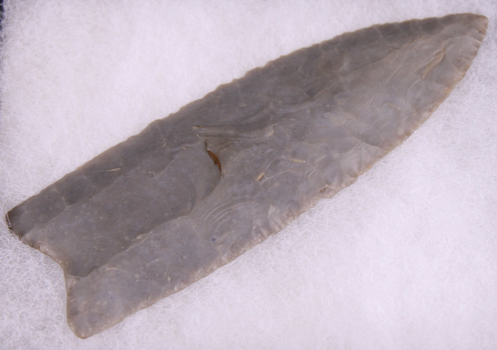 Native American Arrow Head In Riker Box (FMI) - 2