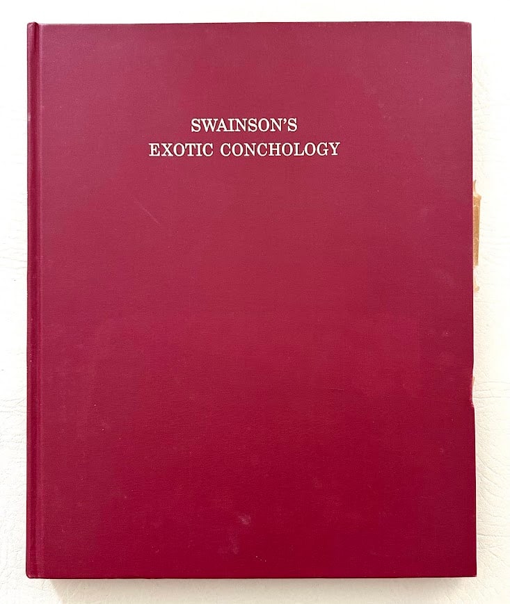 Exotic Conchology or Drawings and Descriptions of Rare, Beautiful or Undescribed Shells, by William (1 of 7)