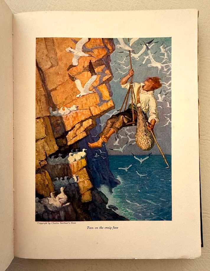 N.C. Wyeth. David Balfour. - 7