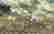 item-107101742=2