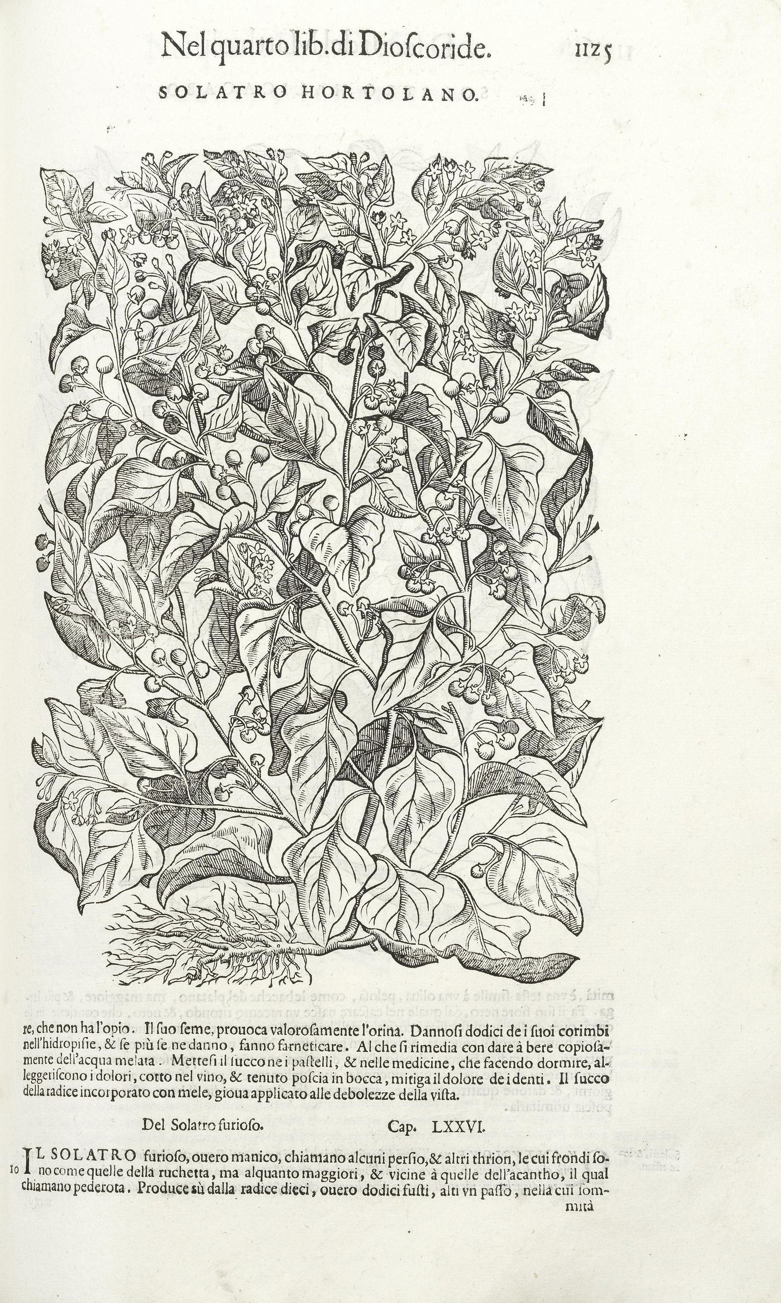 MATTIOLI (PIETRO ANDREA)  De i discorsi di... nelli sei (1 of 3)