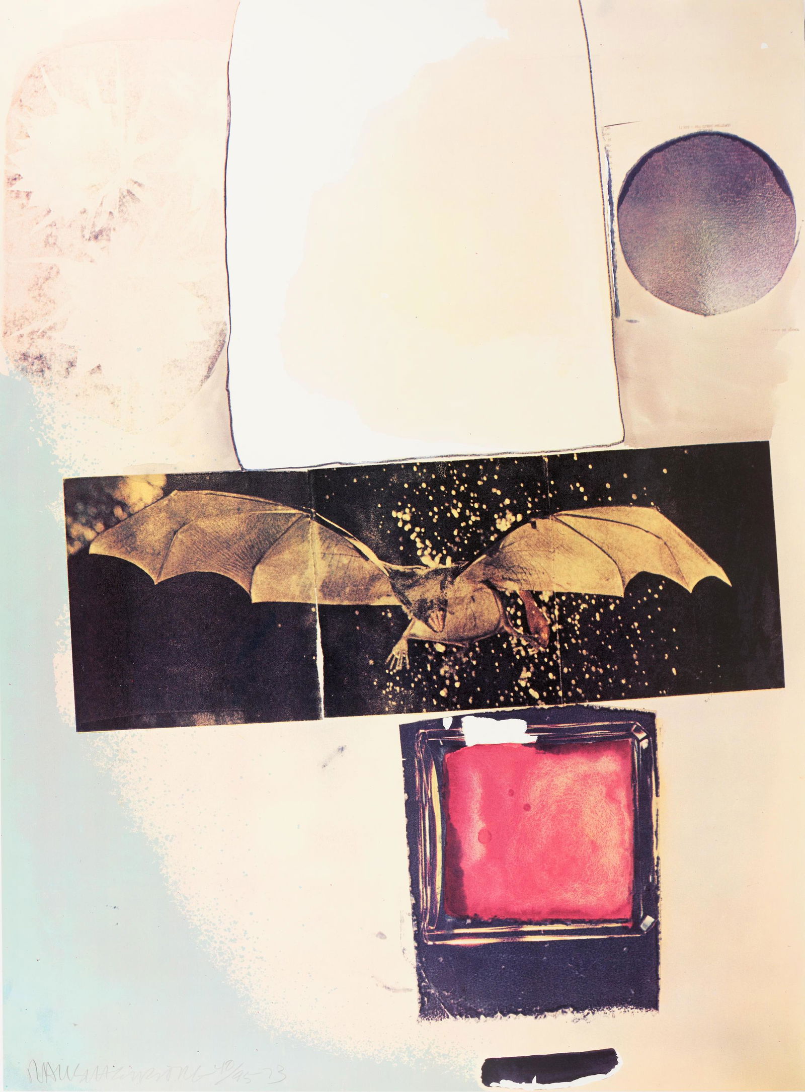 Robert Rauschenberg (1925-2008); Rays (1 of 1)