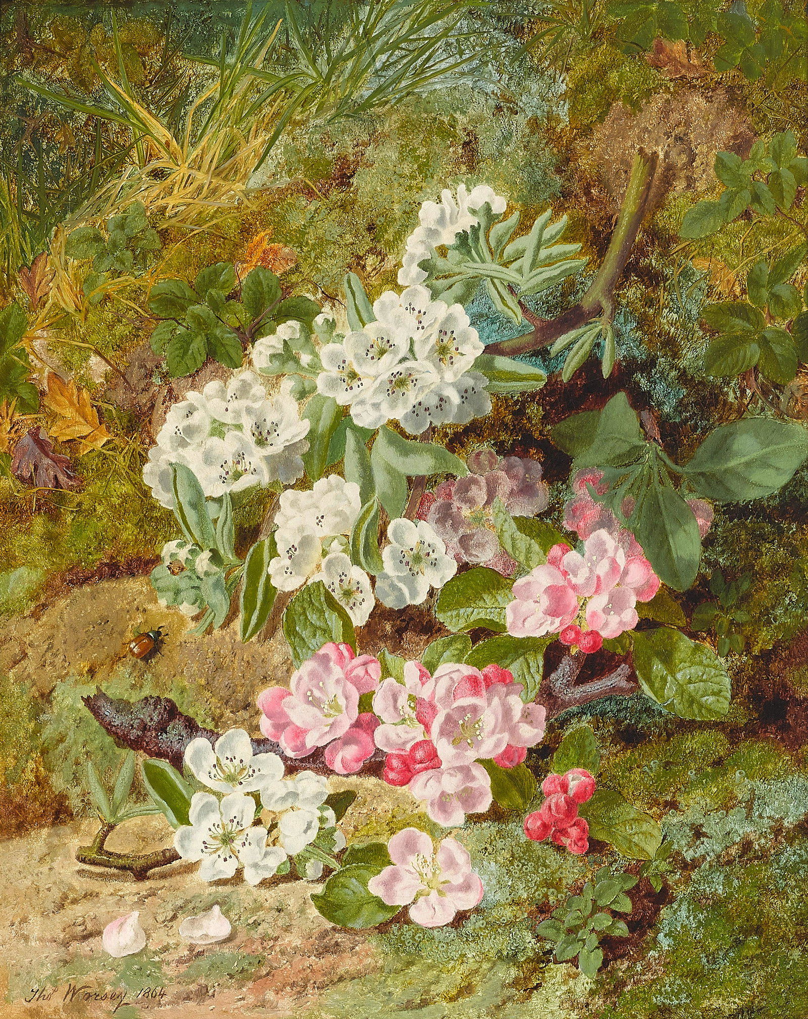 Thomas Worsey (British, 1829-1875) A mossy woodland (1 of 1)