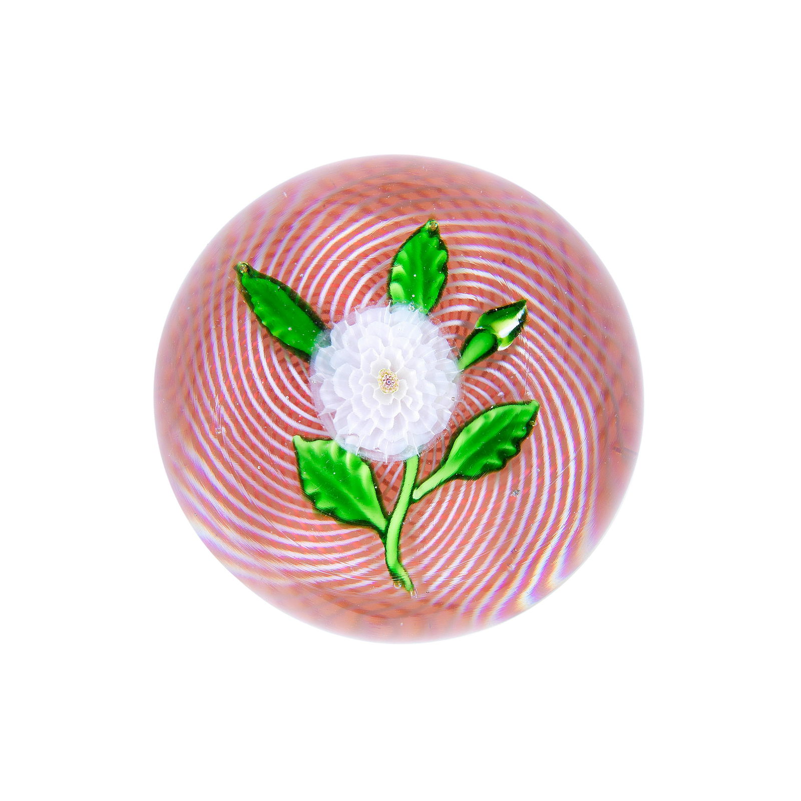 A St. Louis white camomile paperweight, circa 1850 (1 of 1)