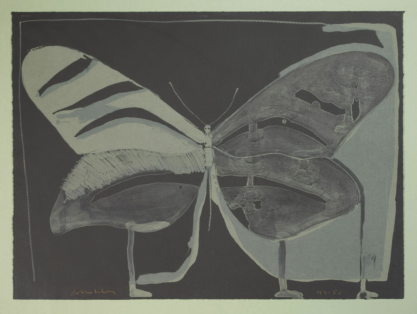 A Fritz Scholder lithograph, 'Night Butterfly,' 1979 (1 of 1)