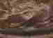 item-120896250=3