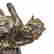 item-120896312=2