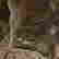 item-120896312=3