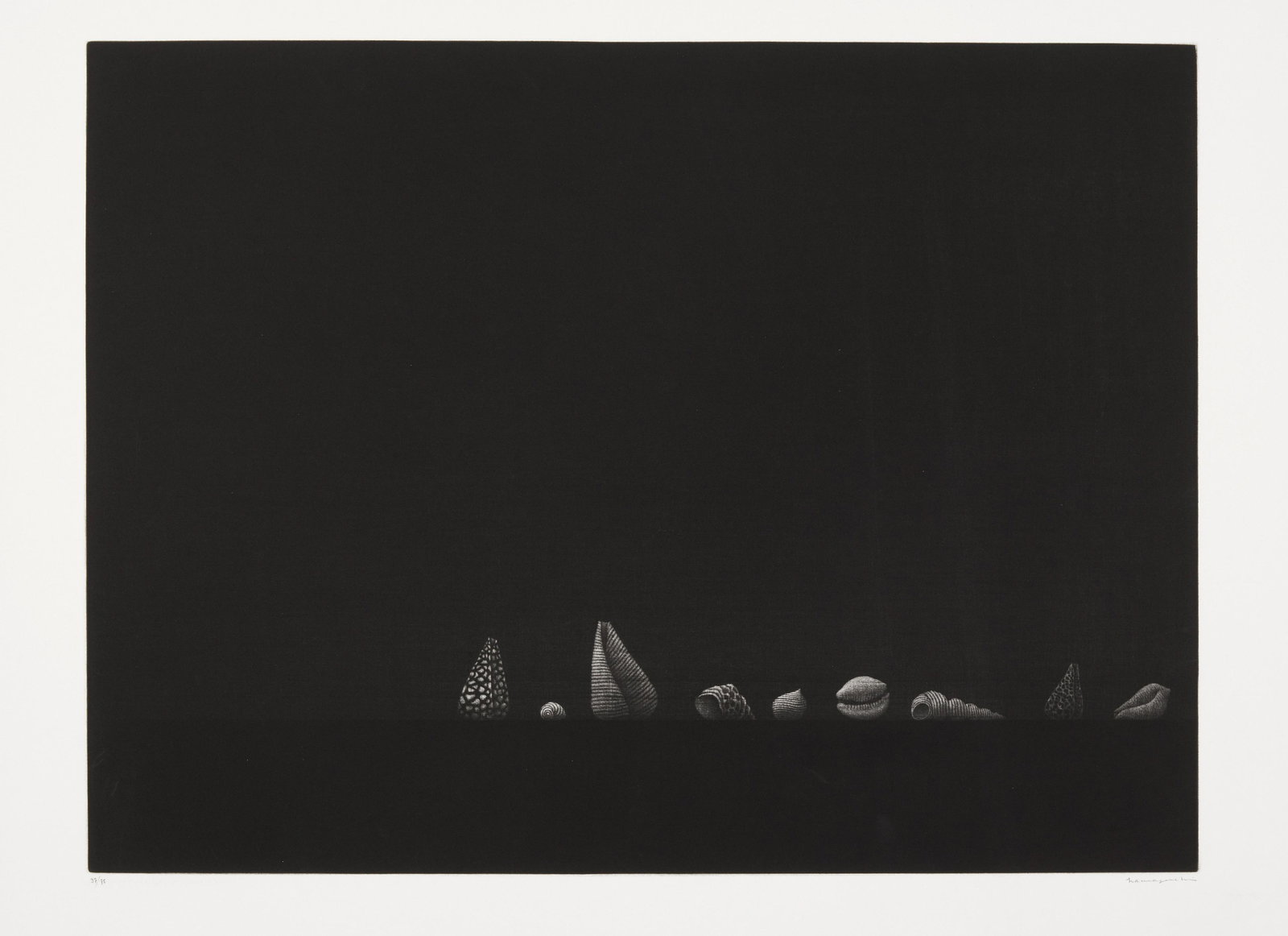 Yozo Hamaguchi (1909-2000); Nine shells; (1 of 1)