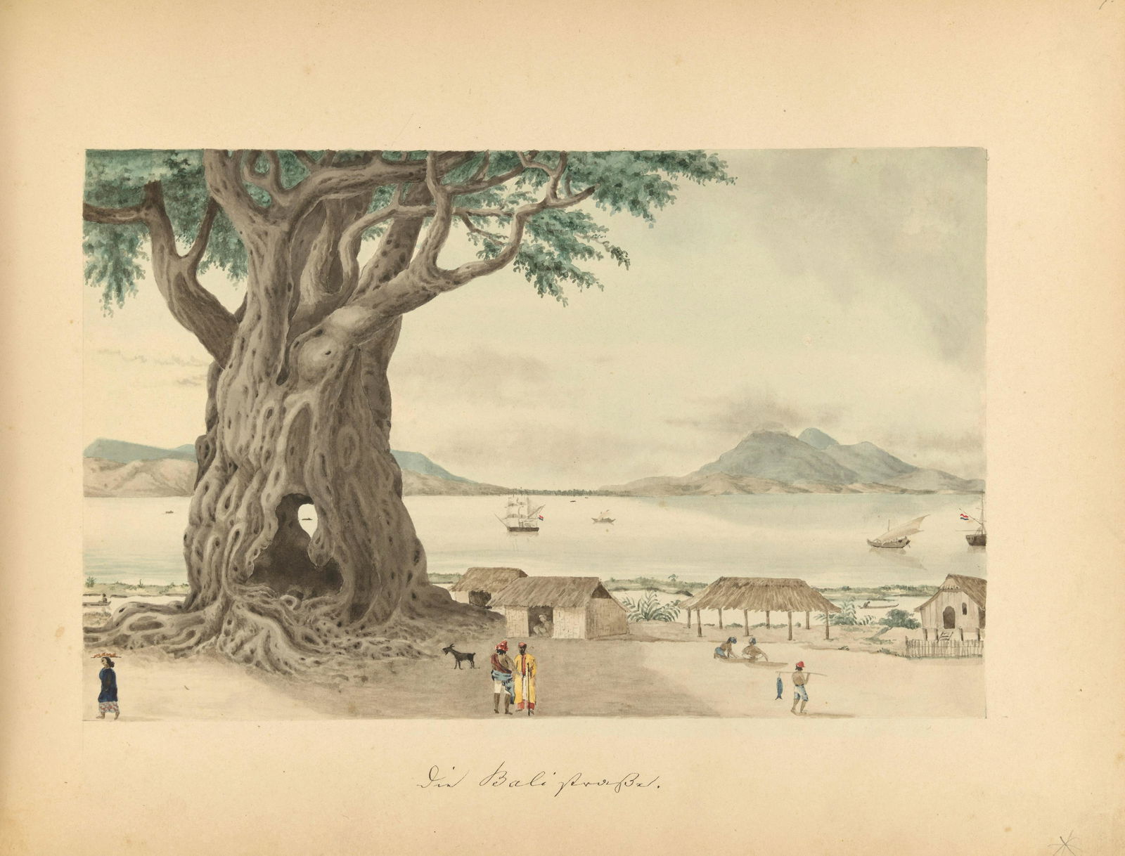 HAECKEL, ERNST, attrib. Late nineteenth-century album of 20 watercolors and 5 pen-and-ink drawin... (1 of 1)