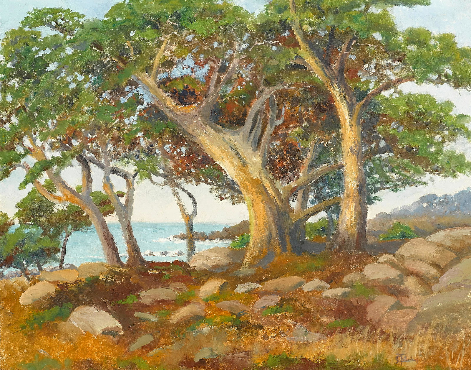 Josephine Mary (1852-1941) Sunshine and Shadow of Pt. Lobos 22 x 28 in. framed 30 x 36in: Josephine Mary Culbertson (1852-1941) Sunshine and Shadow of Pt. Lobos signed 'MCulbertson' (lower right) oil on canvas 22 x 28 in. framed 30 x 36in Footnotes: Provenance Private collection, Santa