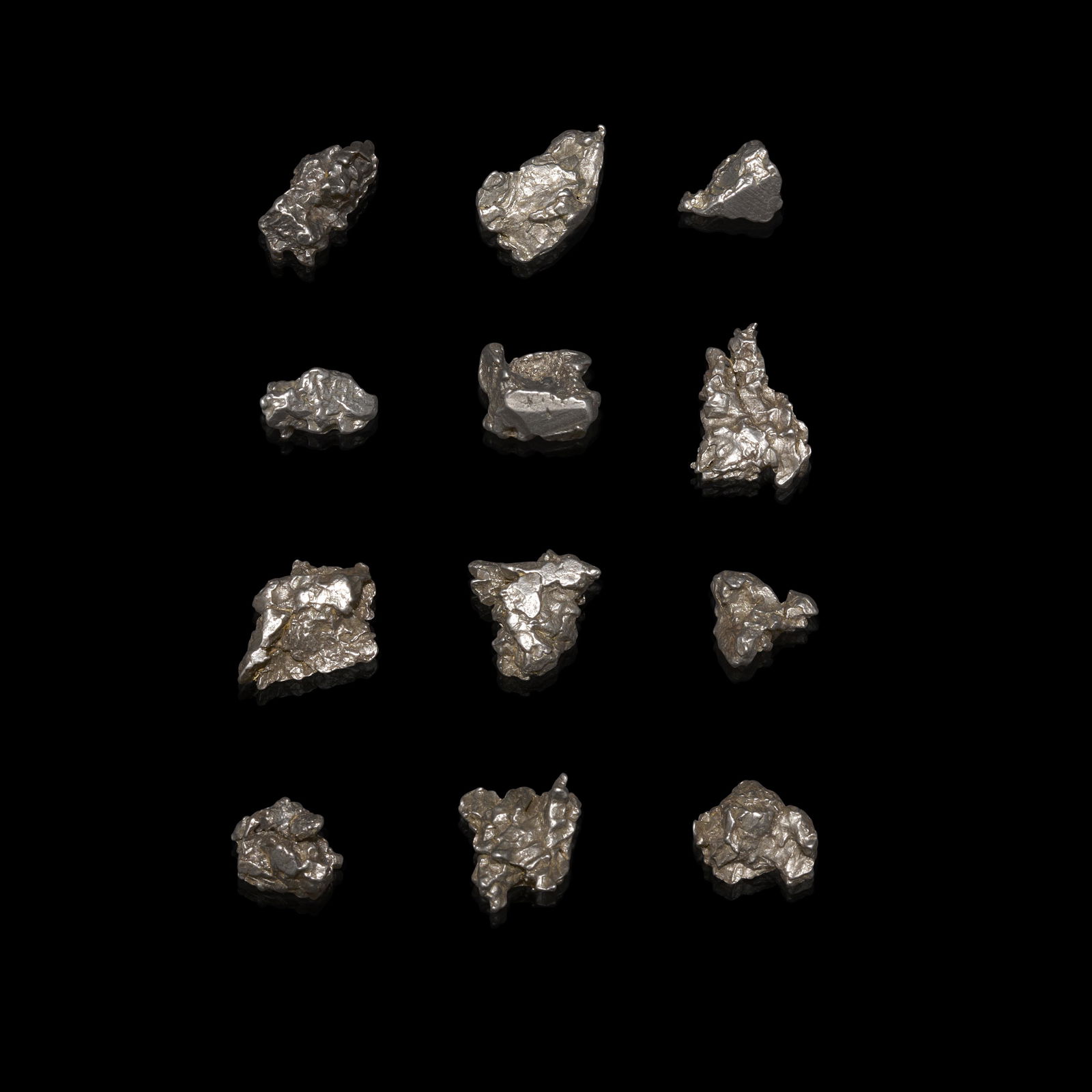 Twelve Sikhote-Alin Meteorite Schrapnel (1 of 1)