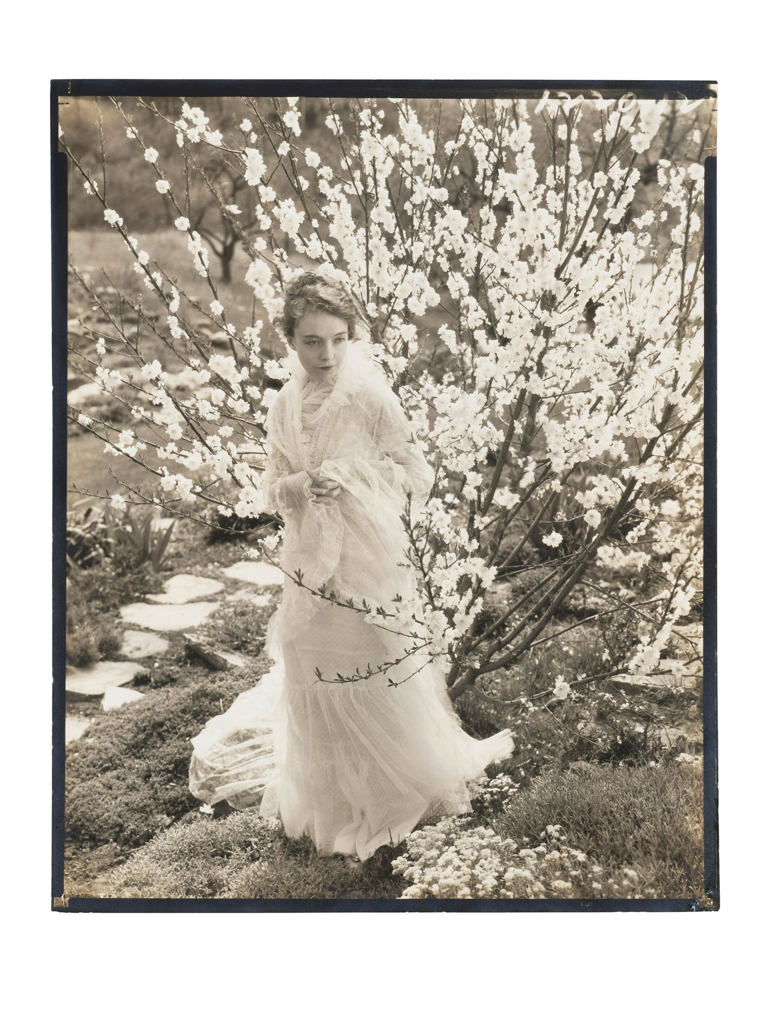 A Lillian Gish personally owned photograph credited to Edward Steichen (1 of 1)