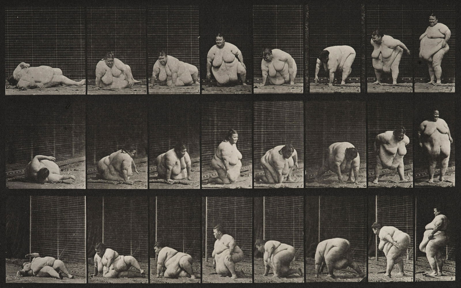 Eadweard Muybridge (1830-1904); Plate 268 from 'Animal Locomotion'; (1 of 1)