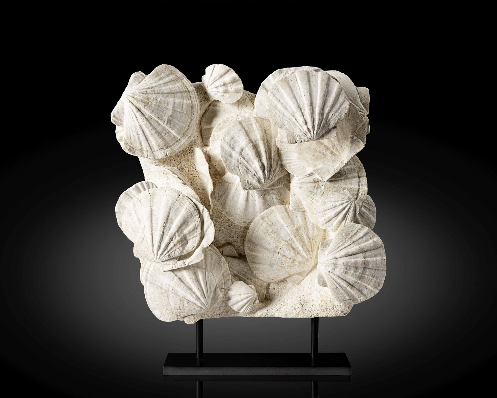 Ensemble de pectens fossiles Fossil Pecten Plate: Ensemble de pectens fossiles Fossil Pecten Plate Gigantopecten restitutensis Miocene Vaucluse, Lacoste, France A dramatic and stunning display of fossil pectens from a Miocene shoreline sediment. Thi