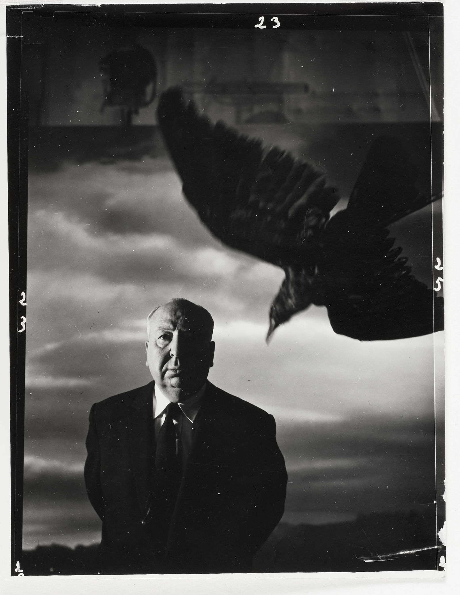 Philippe Halsman (1906-1979); Alfred Hitchcock, The Birds; (1 of 1)