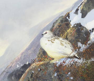 Michael Coleman (born 1946) Rock Ptarmigan 14 x 16 in. framed 22 1/2 x 24 1/2 in.: Michael Coleman (born 1946) Rock Ptarmigan signed 'Michael Coleman-' (lower right) and inscribed and dated 'Rock Ptarmigan (Three Finger Draw - B.C.) / August. 1991. (on the backing) oil on masonite 1