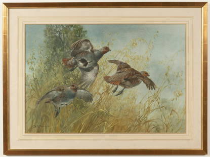 Edwin Penny (British, 1930-2016) Partridge in flight: Edwin Penny (British, 1930-2016) Partridge in flight Signed 'Edwin Penny' (lower right) Watercolour 47 x 70cm (18 1/2 x 27 1/2in). This lot is subject to the following lot symbols: AR A