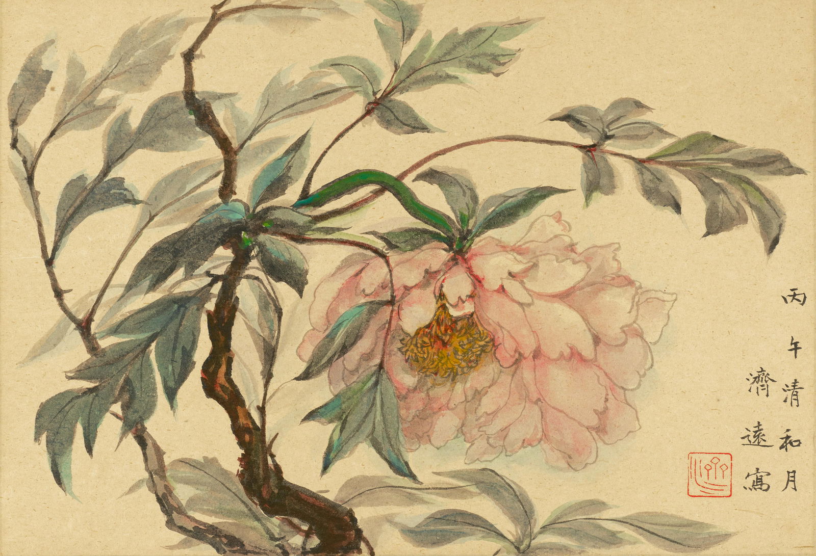 WANG JIYUAN (1893-1975)  Peony, 1966 (1 of 1)