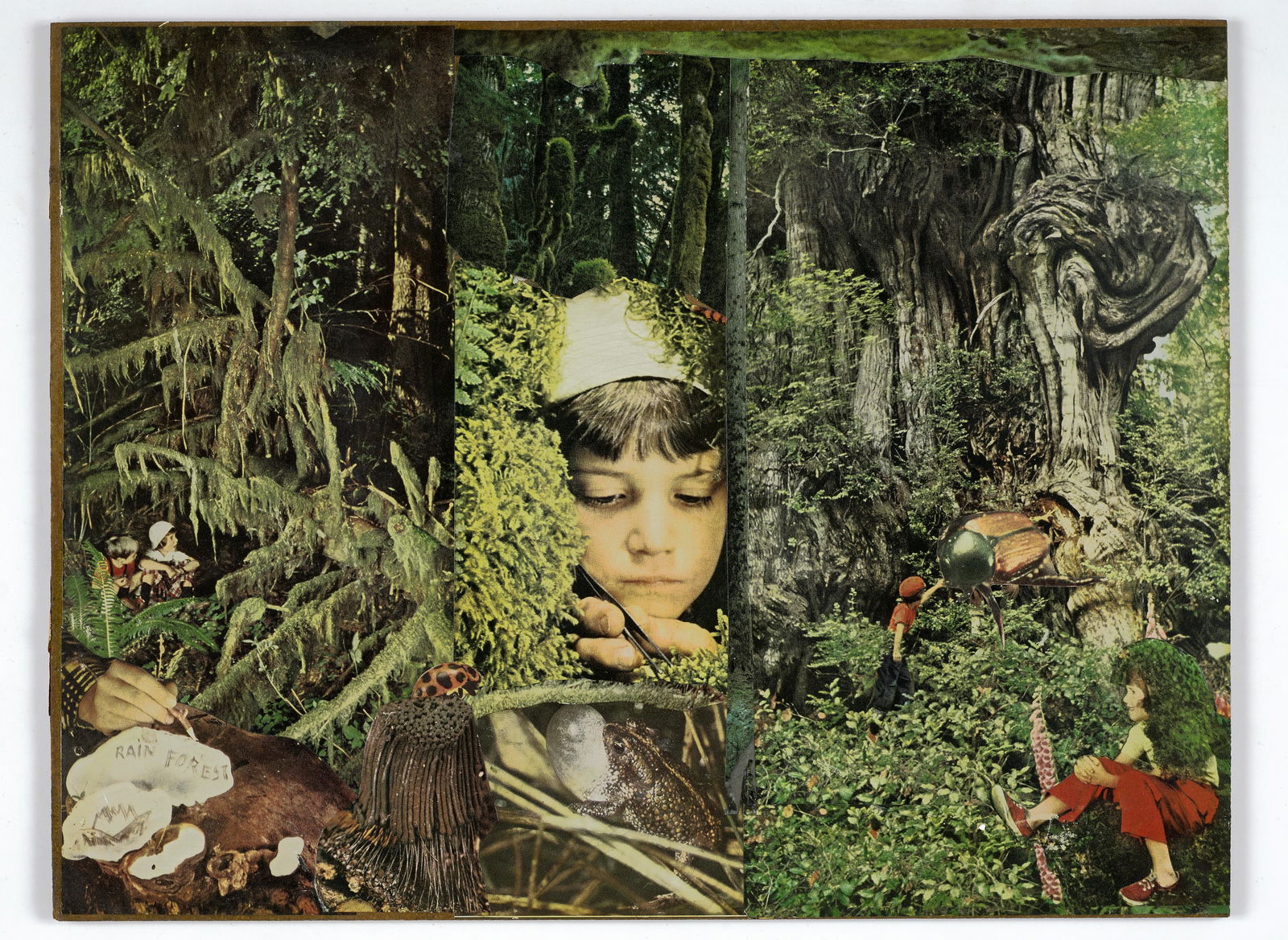JOSEPH CORNELL (1903-1972) Rainforest, circa 1959-66: JOSEPH CORNELL (1903-1972) Rainforest, circa 1959-66 signed 'Joseph Cornell' (on the reverse); titled 'Rainforest' (on the reverse of the frame) printed paper collage mounted to Masonite 11 5/8 x 15 1