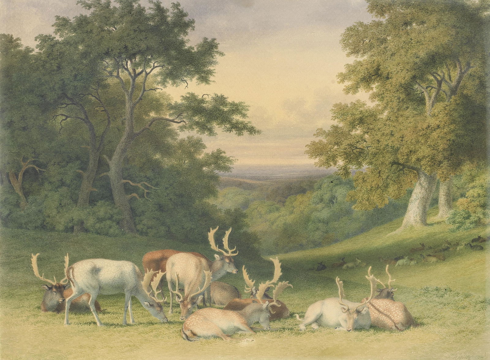 Robert Hills (London 1769-1844) Fallow deer in a forest clearing: Robert Hills (London 1769-1844) Fallow deer in a forest clearing signed and dated 'R. HILLS 1841' (lower right) watercolour 32 x 43cm (12 5/8 x 16 15/16in). Footnotes: Exhibited Possibly