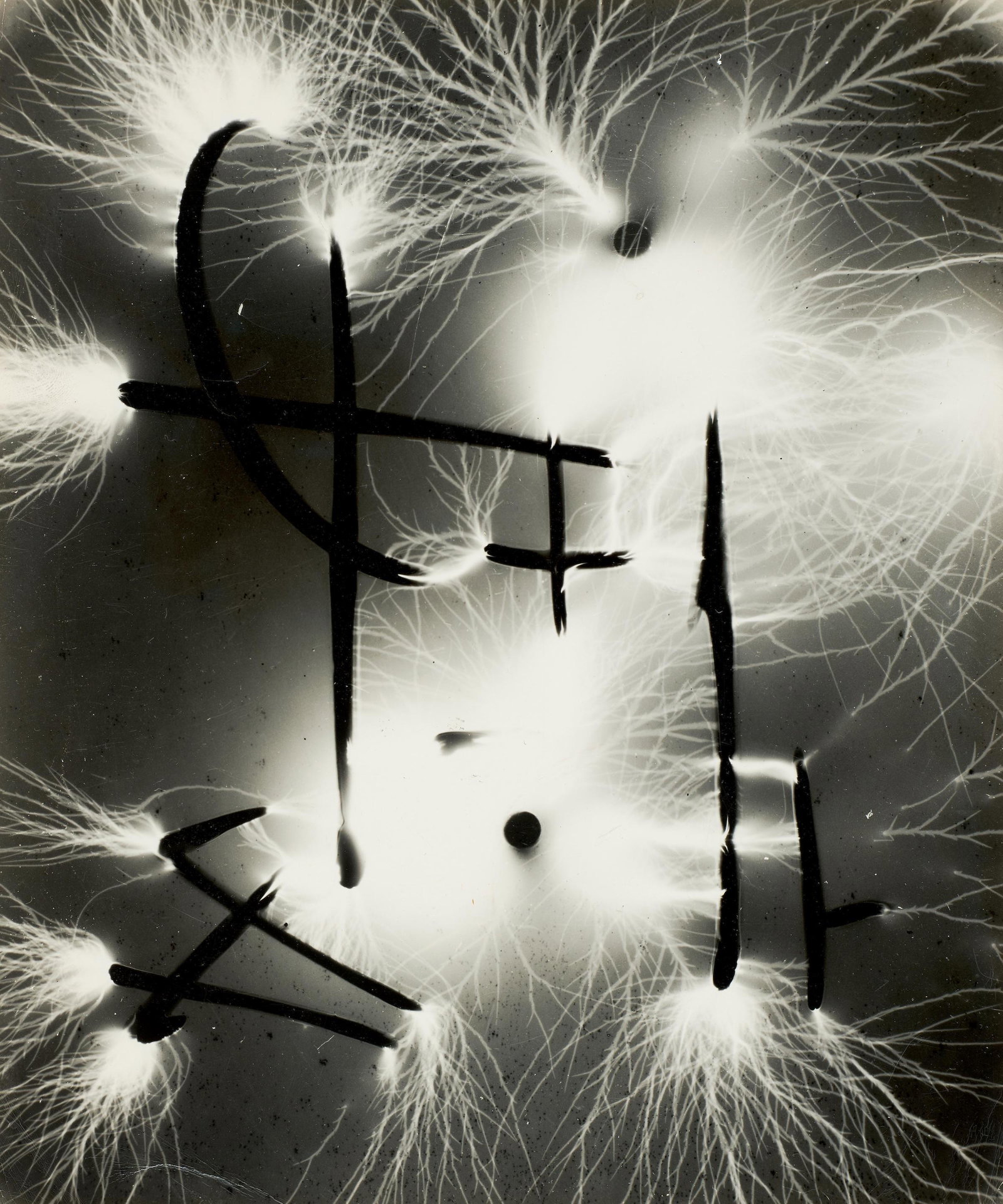 Herbert Matter (1907-1984); Untitled (Photogram);: Herbert Matter (1907-1984) Untitled (Photogram), circa 1940 Unique gelatin silver print sheet 12 x 10 in. (30.5 x 25.5 cm.) Footnotes: Provenance Alex Matter, the photographer's son Acquired fr