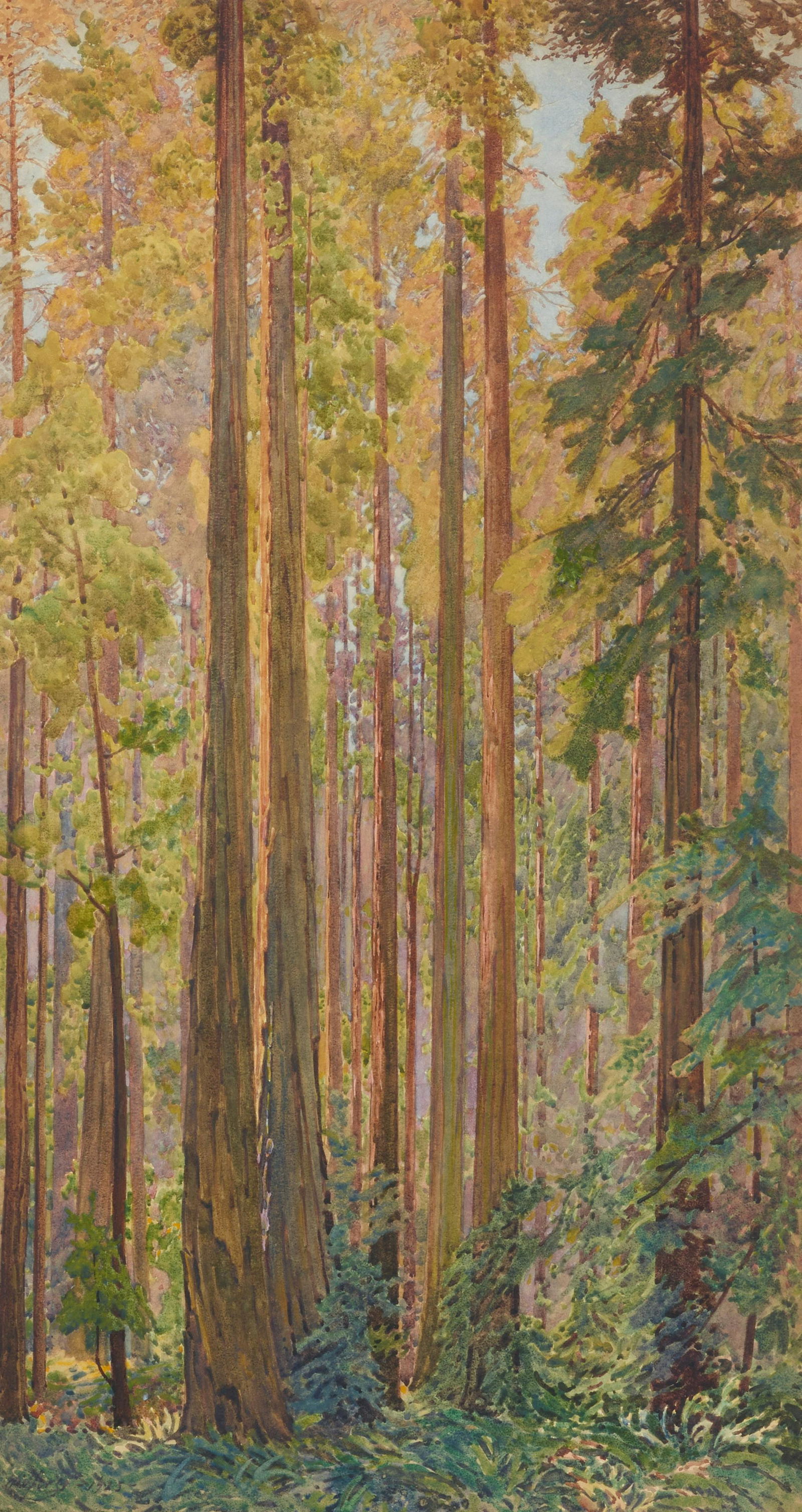 Gunnar Widforss (1879-1934) Redwood Trees sight 29 x 15 1/2 in. framed 39 x 26 in. (1 of 2)