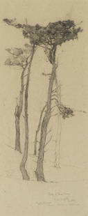 Francis John McComas (1875-1938) Study of Pine Trees, Lake Majella, Monterey sight 27 1/4 x 11 1...: Francis John McComas (1875-1938) Study of Pine Trees, Lake Majella, Monterey titled, inscribed, dedicated and signed 'Study of Pine Trees / Lake Majella / Monterey / Emile Schmoll / from Francis McCom