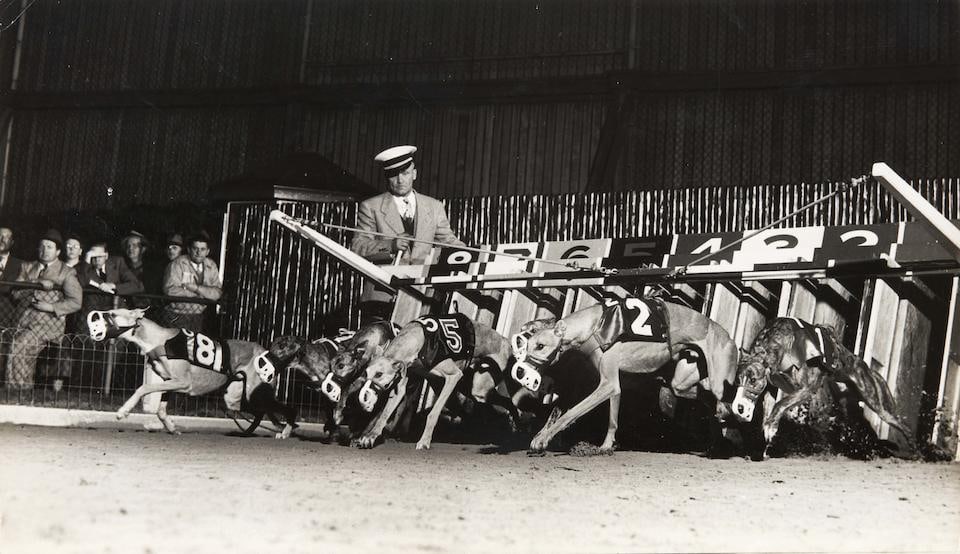 Gjon Mili (1904-1984); Racing Greyhounds breaking out of the starting gate at Wonderland track, ...: Gjon Mili (1904-1984) Racing Greyhounds breaking out of the starting gate at Wonderland track, Revere, MA, 1948 Gelatin silver print; titled and annotated on the verso with artist's and Time Inc. stam