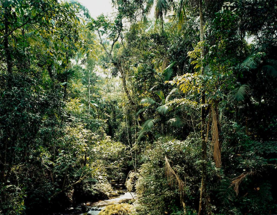 Thomas Struth (born 1954); Sao Francisco de Xavier, Brazil;: Thomas Struth (born 1954) Sao Francisco de Xavier, Brazil, 2001 Chromogenic print, printed 2003; signed, titled, dated, and numbered '24/40 + 12 A.P.' in pencil on the verso. 18 1/4 x 23 1/2 in. (46.4
