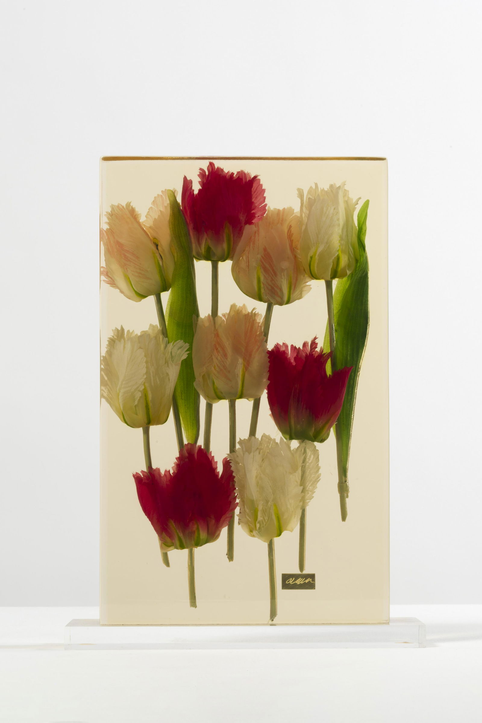 FERNANDEZ ARMAN (1928-2005) Tulipes,1994 Tulipes artificielles dans du polyester, différen...: FERNANDEZ ARMAN (1928-2005) Tulipes,1994 Tulipes artificielles dans du polyester, différentes couleurs de fleurs dans l'édition. Signée et numérotée 46/100. Ed. de la Diff