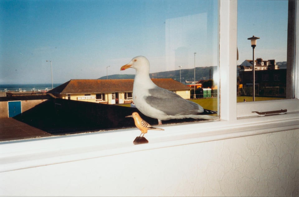 Mona  Hatoum (born 1952); Birds of a Feather, 1997; (1 of 2)