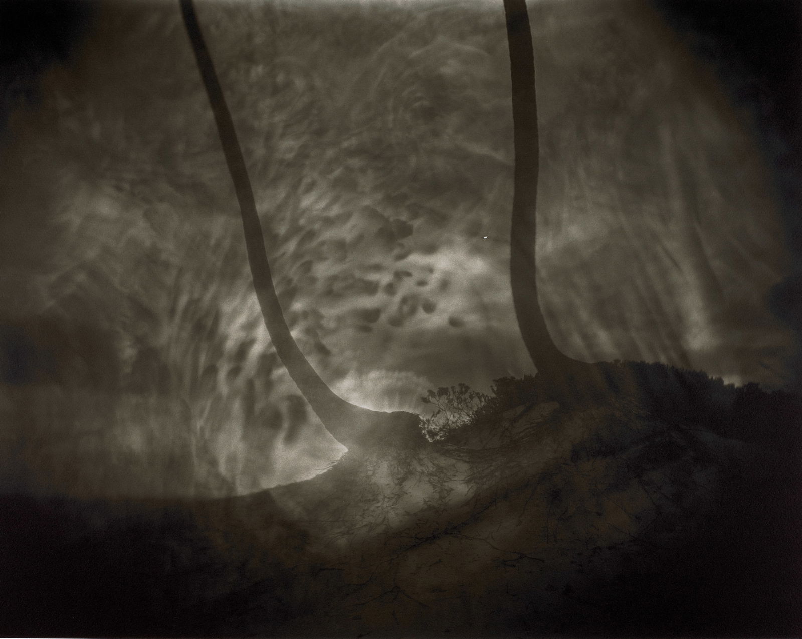 Sally Mann (born 1951); Untitled;: Sally Mann (born 1951) Untitled, 1999 Gelatin silver print; signed, dated, copyrighted, and numbered '9/40' in pencil on the reverse. 21 7/8 x 27 3/4 in. (55.6 x 70.5 cm.) sheet 24 x 30 in. (61 x 72.6