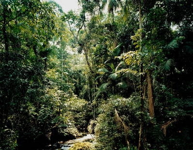 Thomas Struth (born 1954); Sao Francisco de Xavier, Brazil;: Thomas Struth (born 1954)Sao Francisco de Xavier, Brazil, 2001Chromogenic print, printed 2003; signed, titled, dated, and numbered '24/40 + 12 A.P.' in pencil on the reverse.18 1/4 x 23 1/2 in. (46.4