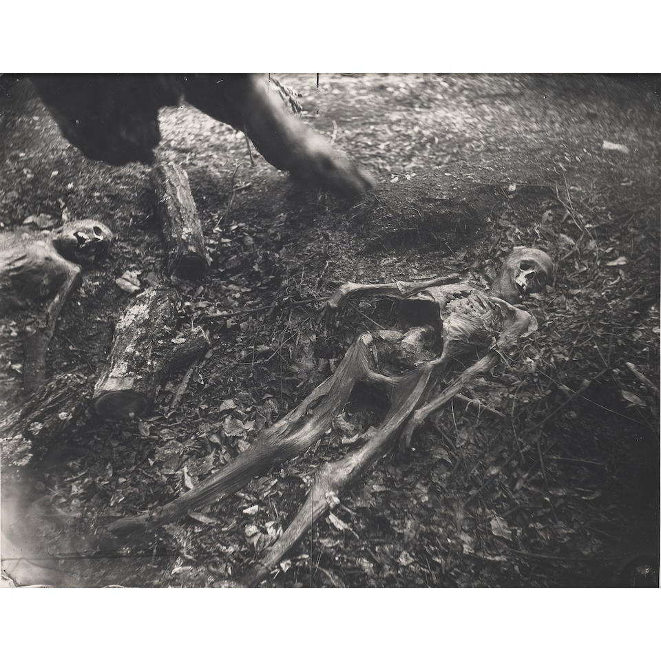 Sally Mann (born 1951); Untitled (Two Skeletons) (from 'Body Farm');: Sally Mann (born 1951) Untitled (Two Skeletons) (from 'Body Farm'), 2001 Gelatin silver print; mounted, signed, dated, and editioned '1/3' in pencil on the reverse, framed. 30 1/8 x 38 1/4 in. (76.5 x