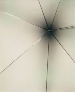 Eileen Quinlan (born 1972); Shalimar #2;: Eileen Quinlan (born 1972) Shalimar #2, 2008 UV-laminated chromogenic print; flush-mounted to aluminum, framed, signed in ink on a label and a Miguel Abreu Gallery label on the reverse; this work is n