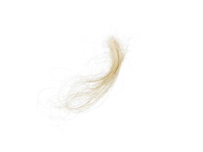 A LOCK OF WALT WHITMAN'S HAIR WITH TREMENDOUS PROVENANCE. A lock of Walt Whitman's hair, togethe...: A LOCK OF WALT WHITMAN'S HAIR WITH TREMENDOUS PROVENANCE. A lock of Walt Whitman's hair, together with a contemporary autograph note in pencil from Thomas Donaldson describing the provenance of the lo