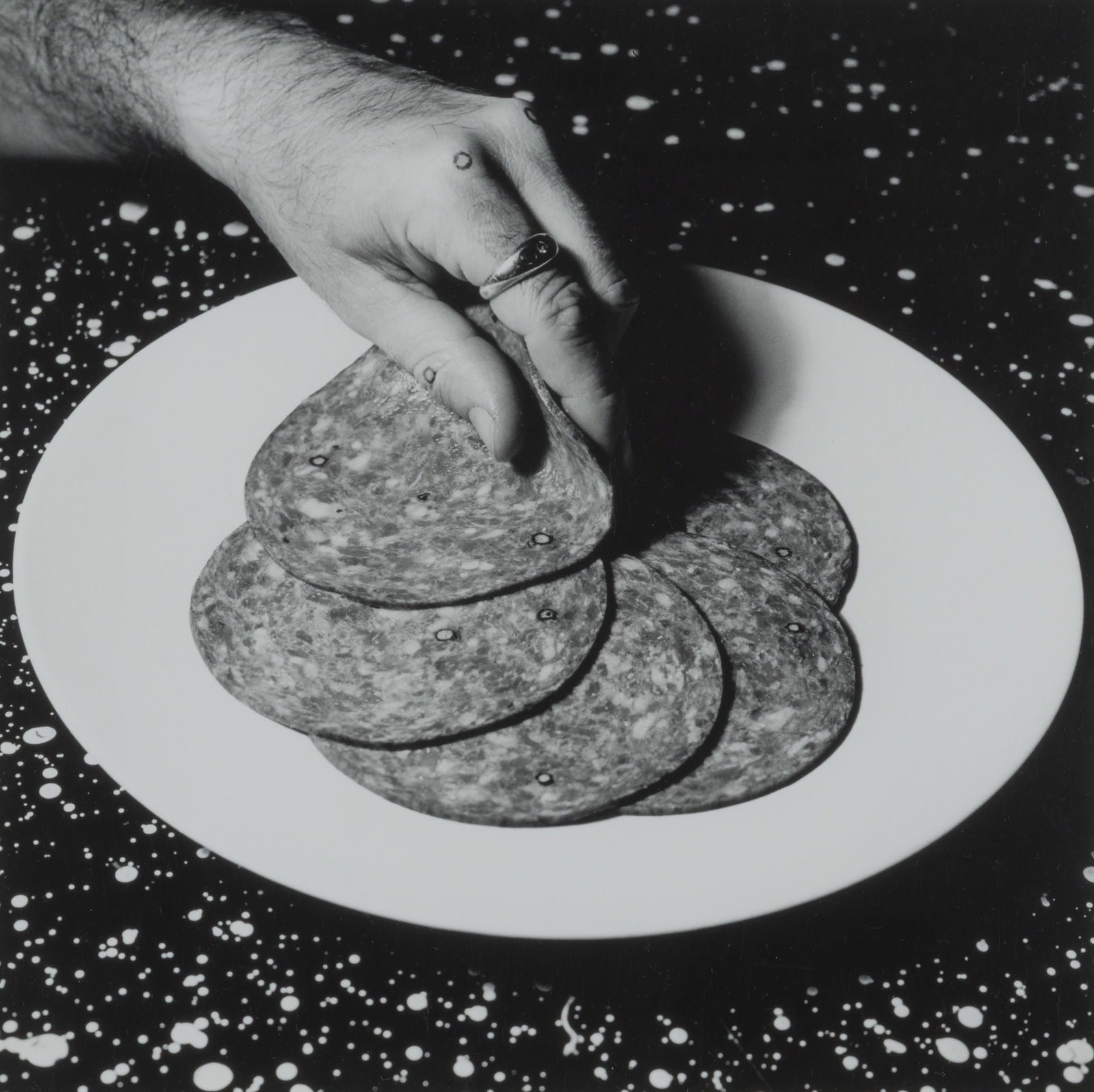 WILLIAM WEGMAN (born 1943) Cotto (1 of 1)