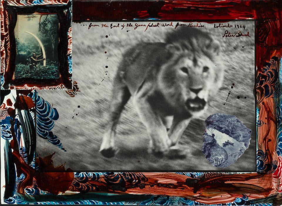 Peter Beard (1938-2020); Loliondo Lion Charge;: Peter Beard (1938-2020) Loliondo Lion Charge, 1964 Gelatin silver print with ink, blood, and 2 affixed photographs, printed later; signed, titled 'loliondo', dated '1964', and annotated '... from the