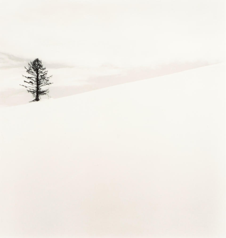 Michael Kenna (born 1953); 'One Tree, Nakafurano, Hokkaido, Japan';: Michael Kenna (born 1953) 'One Tree, Nakafurano, Hokkaido, Japan', 2012 Gelatin silver print; mounted, signed, dated, and numbered '7/45' in pencil on the mount, the photographer's credit stamp, signe