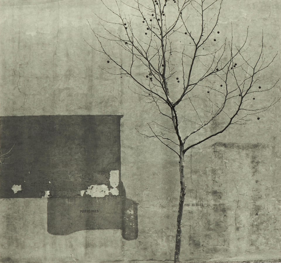 Arnold Newman (1918-2006); 'Tree and Wall, Philadelphia';: Arnold Newman (1918-2006) 'Tree and Wall, Philadelphia', 1941 Gelatin silver print, printed later; signed, titled, and dated in pencil in the margin, the photographer's copyright credit stamp on the r