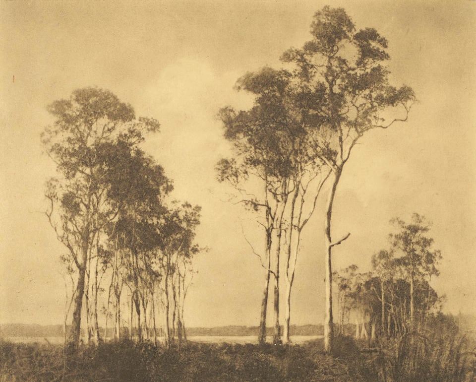 Arthur Smith Gray (1884-1976); 'The Fringe of the Lagoon';: Arthur Smith Gray (1884-1976) 'The Fringe of the Lagoon', c. 1930s Gelatin silver print; accompanied by two fragments of the original mount, one signed 'Arthur Smith' and the other titled in pencil, f