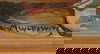 item-172234105=3