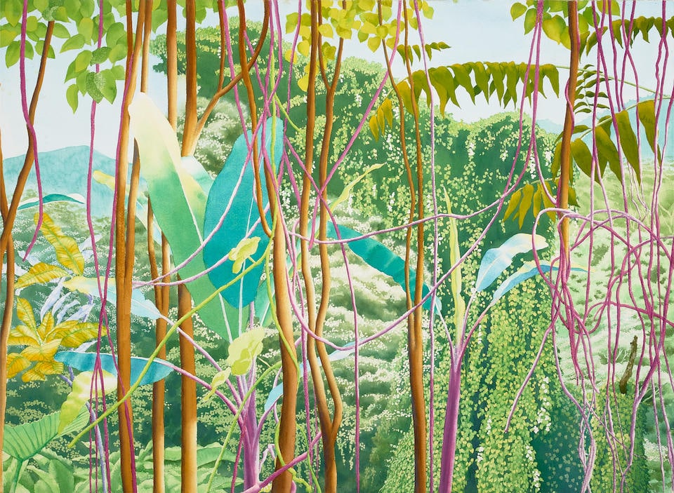 Robert Benjamin (Ben) Norris (1910-2006) Manoa Rainforest XIX 29 1/2 x 41 1/4 in. (74.9 x 104.8 ...: Robert Benjamin (Ben) Norris (1910-2006) Manoa Rainforest XIX signed and dated 'Norris 1998' (lower right) watercolor on paper 29 1/2 x 41 1/4 in. (74.9 x 104.8 cm) Painted in 1998. Footnotes: Provena